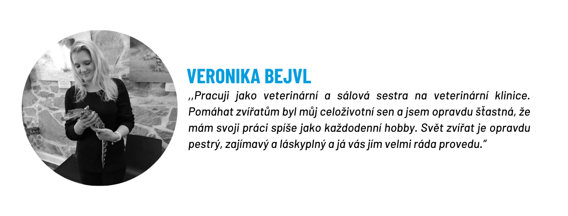 ERIK GJ web akce banner (1160 × 441 px)